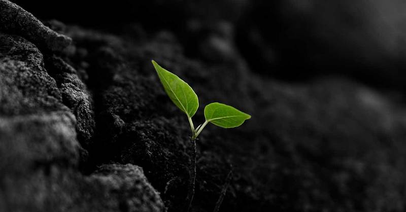 The Seed of God